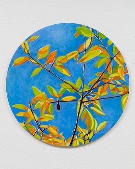 bumiller magnolia 24x24.jpeg