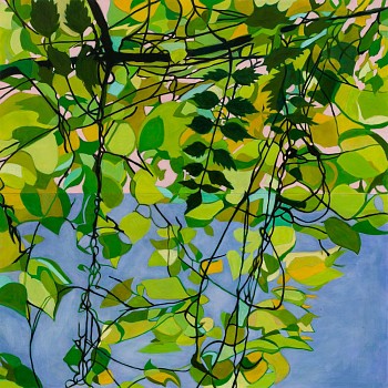 bumiller morning glory 48x48.jpeg