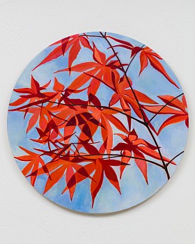 bumiller sweet gum 24x24.jpeg