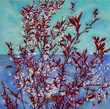 bumiller chokecherry 60x60.jpeg