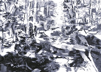 scott deep woods 46x64