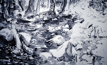 scott what was found 49x79