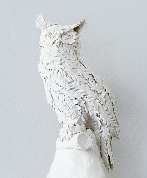 dickey owl 1 copy