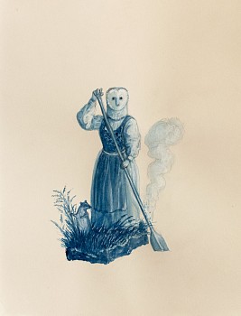 owl