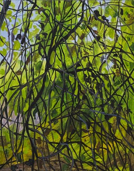 sherman vines dsc0953