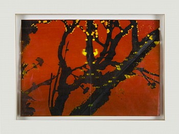 pfaff untitled1