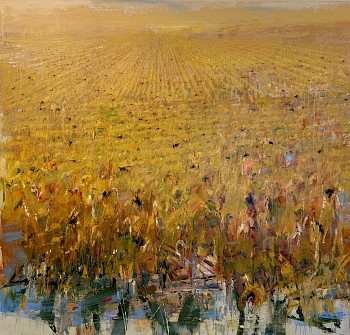 cuming starling.jpeg