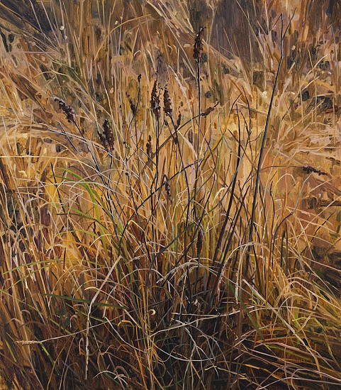 CLAIRE SHERMAN, GRASS AND WILDFLOWERS
oil on canvas