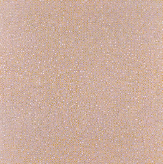 TEO GONZALEZ, CHANTILLY LACE AND ORANGE SKY ON GALT PEACH
household paint on paper